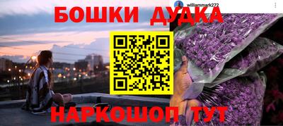 индика Обнинск