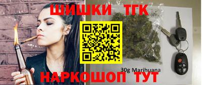 индика Обнинск