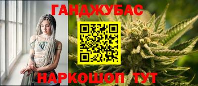 индика Обнинск