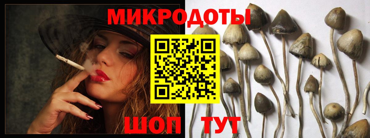 Псилоцибиновые грибы прущие грибы Киреевск