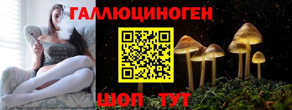 Киреевск  Галлюциногенные грибы прущие грибы  Вход с VPN 